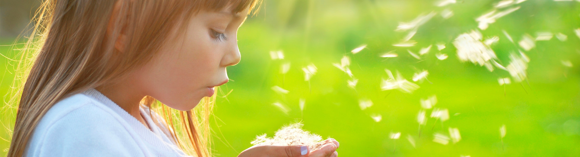 Headerbild Ratgeber Pollenallergie