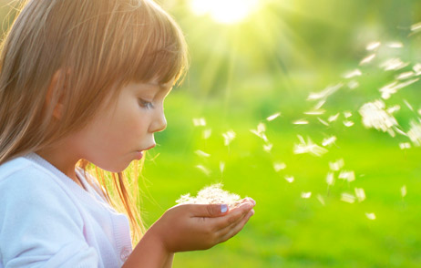 kleines Mädchen pustet Blütenpollen von den Händen