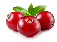 Nahrungsergänzung Cranberryextrakt