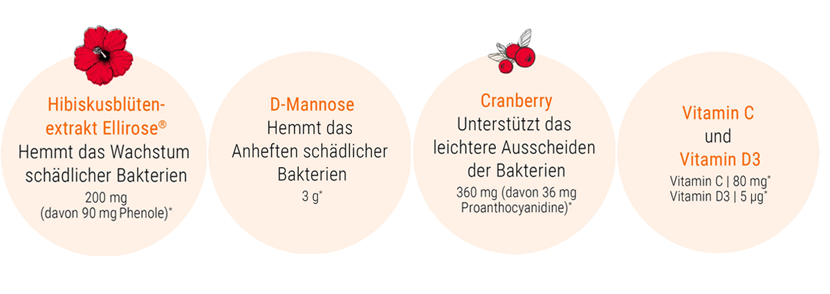 Urofem Inhaltsstoffe