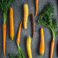 verschiedene Sorten von Möhren