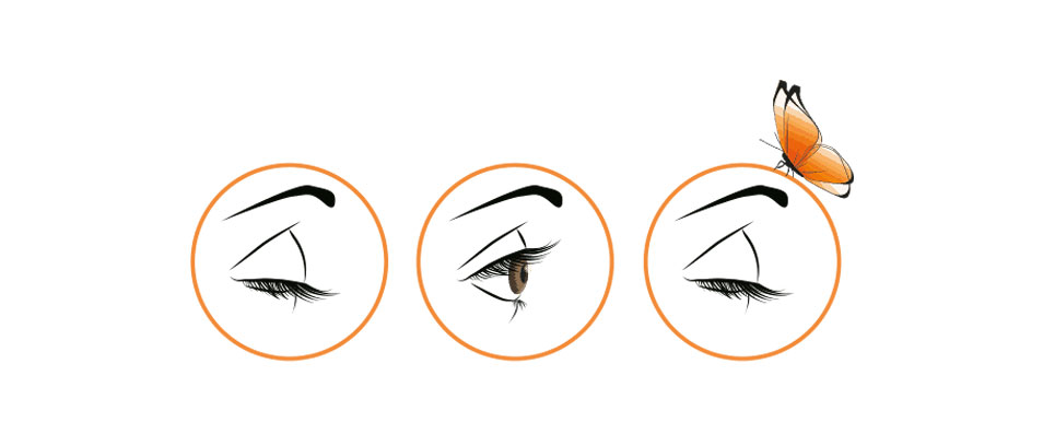 Schmetterlingsblinzeln - Augen langsam schließen und wieder öffnen und 